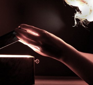 170315__box-close-up-fingers-pandora_p (2)