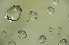 20769719113_fa2a8ca084_m