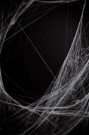stock-photo-14227759-background-full-of-cobwebs