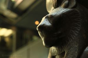 world-museum-liverpool-20150523-08-sekhmet