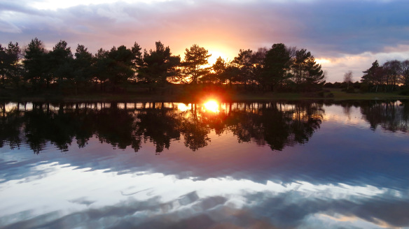 Hatchet Pond sunset 6