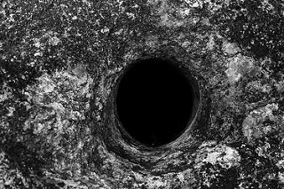 14368027654_9f427ddff3_n