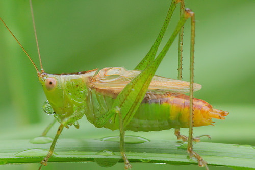 29177876773_e9f053a49a